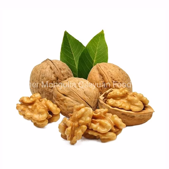 > 12 Months Raw Zhongtai Chemical Packing: 25kg/Plastic Woven Bag 500kg/Jumbo Price Sunflower Seeds Kernels