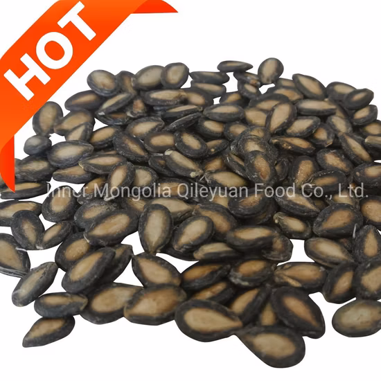 > 12 Months Raw Zhongtai Chemical Packing: 25kg/Plastic Woven Bag 500kg/Jumbo Price Sunflower Seeds Kernels