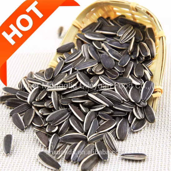 > 12 Months Raw Zhongtai Chemical Packing: 25kg/Plastic Woven Bag 500kg/Jumbo Price Sunflower Seeds Kernels