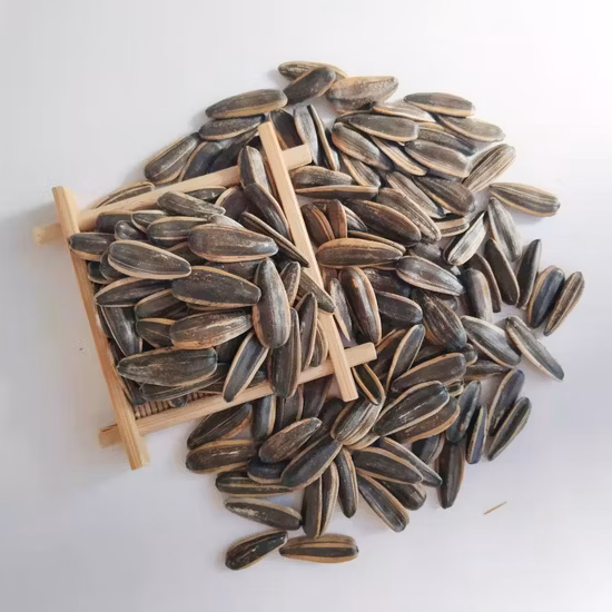 内モンゴル中国工場OEMゆで塩マルチフレーバーロースト皮をむいたヒマワリの種