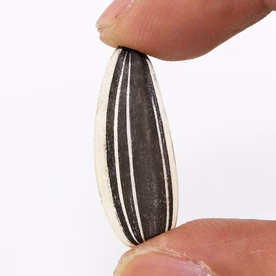 中国の黒白生ヒマワリの種の迅速な配達大きな