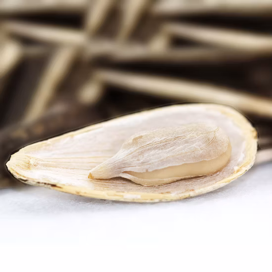 工場直送のビッグサイズ生タイプ 363 361 601 ヒマワリの種