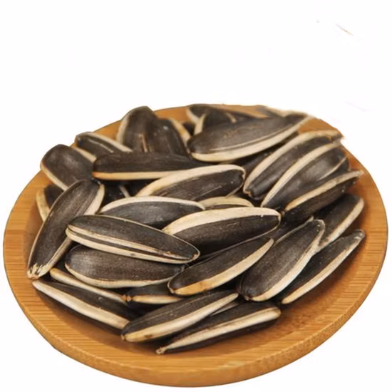 原材料工場からの 363 &361 ヒマワリの種