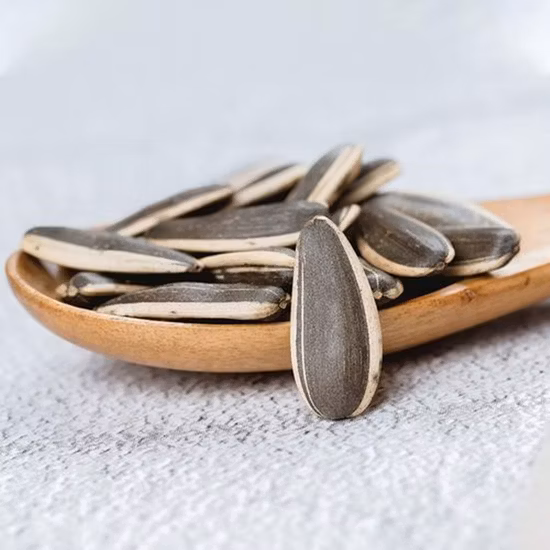 生のヒマワリの種 新しい作物工場の供給 ヒマワリの種